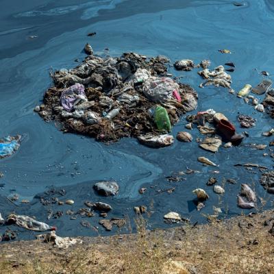 Effects of Oil Spills on Marine and Coastal Wildlife